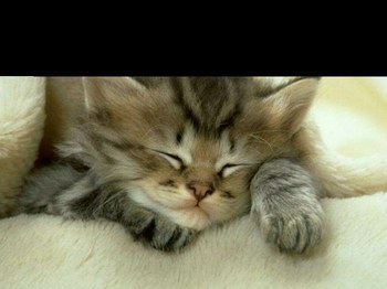 chat